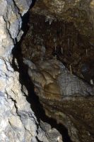 pictures/1993/1993 studiereis frankrijk belgie luxemburg 2